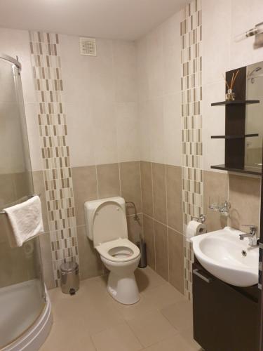 a bathroom with a toilet and a sink at Aranydukát Vendégház Tállya in Tállya