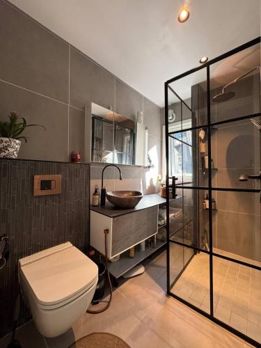 KuvikaにあるTranquil home close to downtownのトイレ、洗面台、シャワー付きのバスルーム