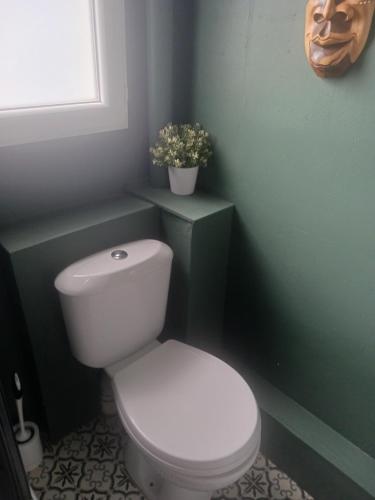 a bathroom with a white toilet in a green wall at Cherry Blossom House in Bujaleuf
