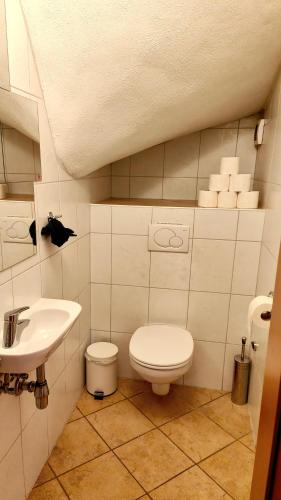 a bathroom with a toilet and a sink at Privater Luxus am Untersberg in Grödig