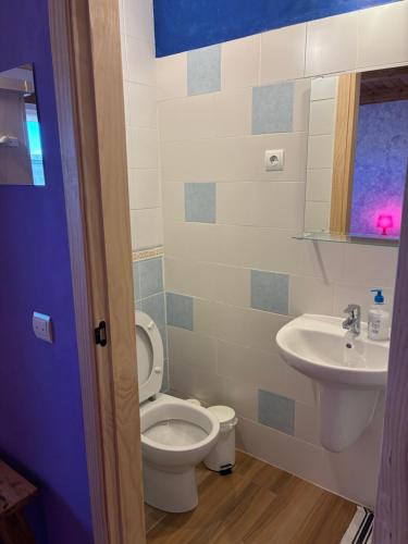 a bathroom with a toilet and a sink at El Mirador de la Sierra Y Casa Rosmari in Urueñas