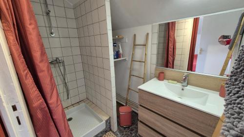 Un pequeño baño con lavabo y ducha. en Gîte La Salamandre au Sud de Sarlat, en Groléjac
