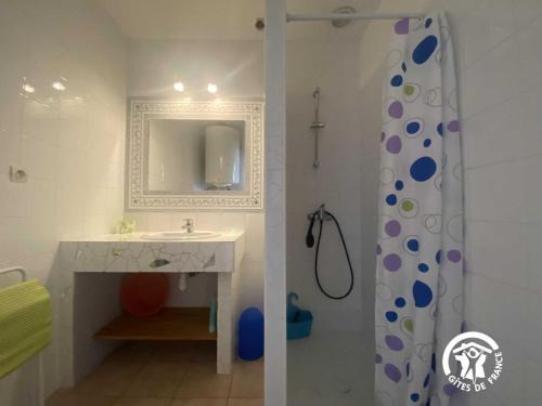 a bathroom with a sink and a mirror and a shower at Le tilleul du parc de la dame in Latour-Bas-Elne