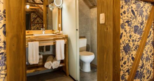 a bathroom with a sink and a toilet in it at Parador Cambará do Sul in Cambara do Sul
