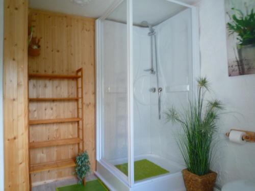 a shower with a glass door in a bathroom at Beautiful and Authentic Cottage in Houffalize
