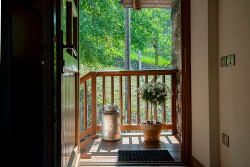 an open door to a porch with a potted plant at B&B Maso Zont Antico Maso in Vignola