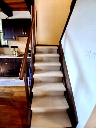 a stairway leading up to a kitchen with a stair case at Holiday Home Marianne in Velké Svatoňovice