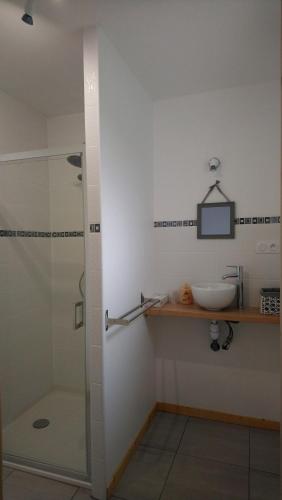 a bathroom with a sink and a shower at ENTRE LOIRE ET CHER "Les Bruyères" Gîte & SPA Privatif in Tour-en-Sologne