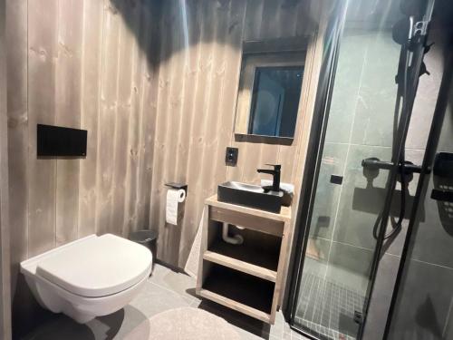 ein Badezimmer mit Toilette, Dusche und Waschbecken in der Unterkunft Robelia - Sauna, Hot tub - Norefjell ski center in Noresund