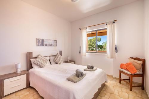423 Casa Paulo