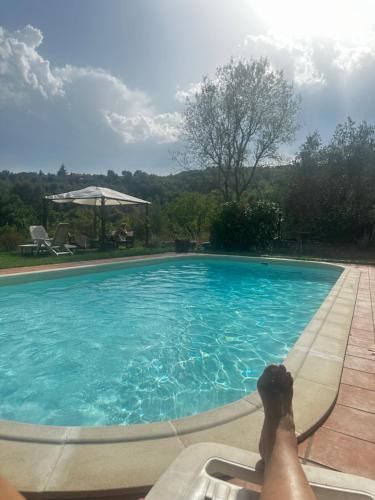a person laying on the edge of a swimming pool at B&B Il Casale Del Ginepro in Migliano