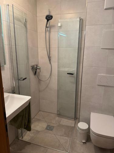 a bathroom with a shower with a toilet and a sink at Ferienwohnung Niklas inklusive Bad Hindelang Plus in Bad Hindelang