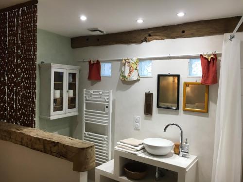 a bathroom with a sink and a counter with a shower at Studio Terrasse Le petit cabanon in Serres