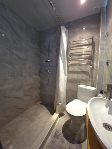 a bathroom with a toilet and a shower and a sink at Садиба "ЯНА" in Slavske