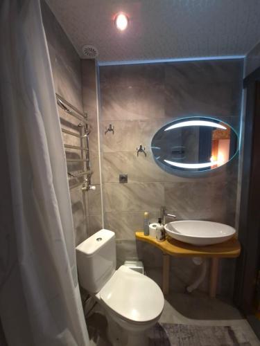 a bathroom with a toilet and a sink and a mirror at Садиба "ЯНА" in Slavske