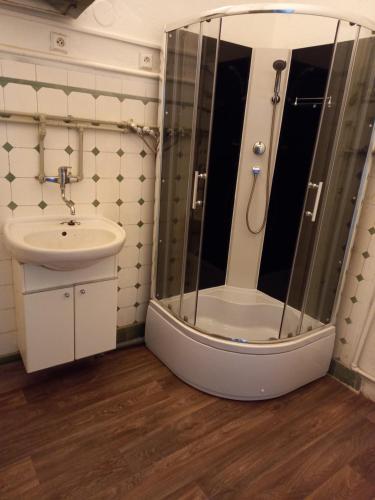 a bathroom with a shower and a sink at Zámecký areál Holovousy in Holovousy