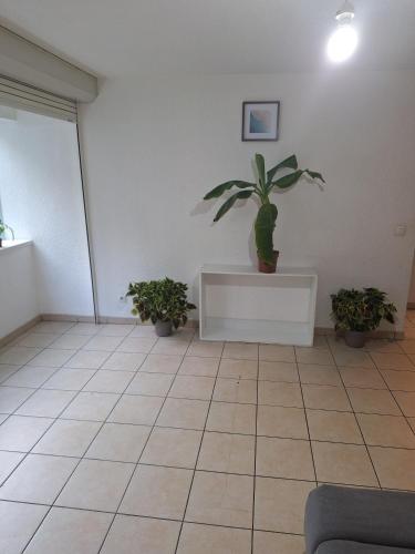 a room with a potted plant sitting on a counter at Appartement proche Genève in Annemasse