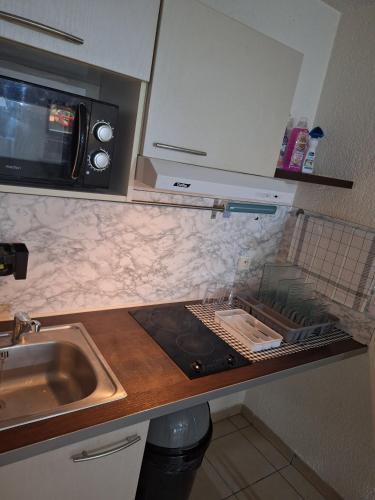 a kitchen counter with a sink and a microwave at Appartement proche Genève in Annemasse