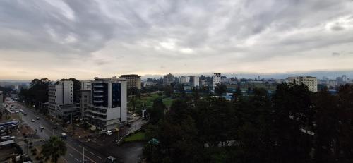 a city with tall buildings and a cloudy sky at Radisson Blu Hotel, Addis Ababa in Addis Ababa