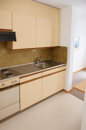 a kitchen with white cabinets and a sink at Apartment in Disentis in Disentis
