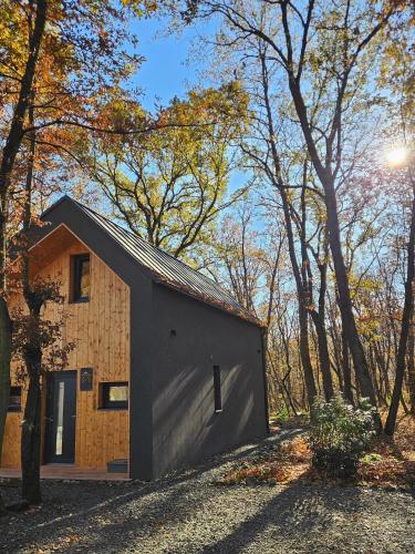 a small black building in the middle of trees at Bérc Kabin Kismaros in Kismaros
