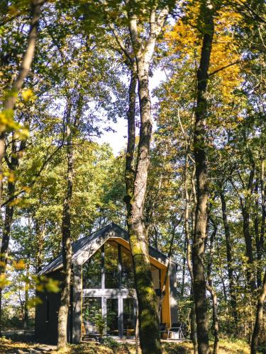 a house in the middle of the forest at Bérc Kabin Kismaros in Kismaros