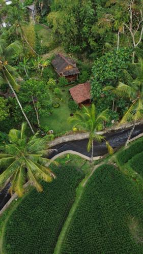 an aerial view of a resort with palm trees at Nishiyama Wooden House in Ambengan