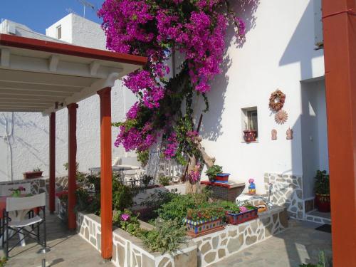 a bunch of flowers hanging from a building at Helios Serifos in Livadion
