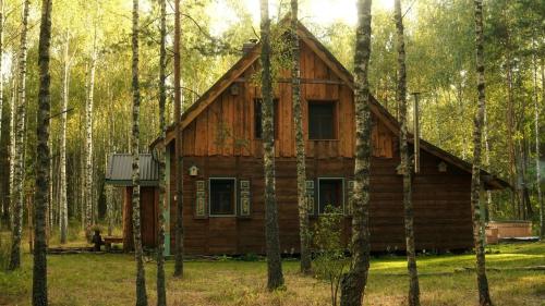 Biały Las Magiczna Stara Chata Puszcza Białowieska