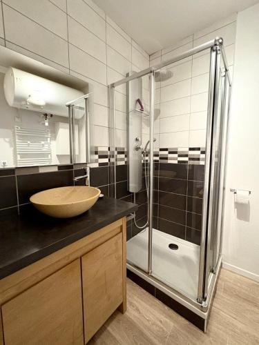 a bathroom with a sink and a shower at Charme & tranquillité - Troyes centre historique in Troyes