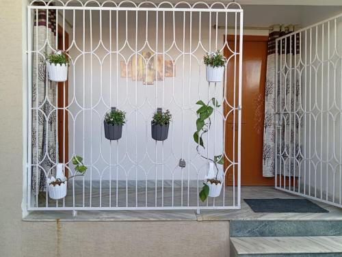 a metal fence with potted plants on it at Birsa Munda Airport Nature Nook in Rānchī