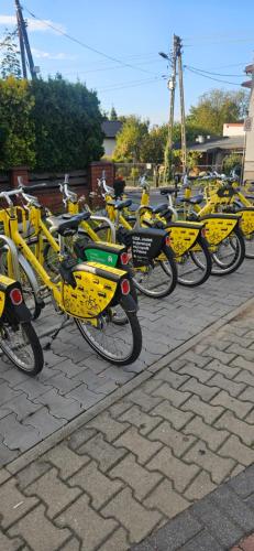 a bunch of yellow motorcycles parked in a row at Noclegi Silesia in Tychy