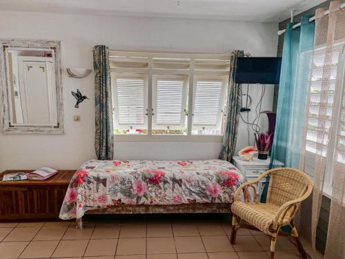 a bedroom with a bed and a window and a chair at Anoli Lodges in Sainte-Anne