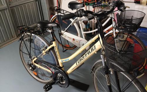 two bikes are parked next to each other at Homecoming apartment in Guastalla