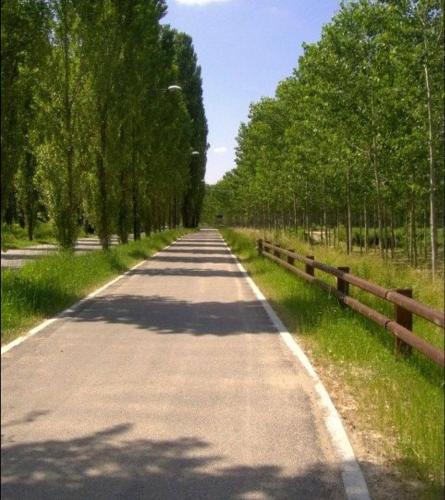 a road with trees and a fence on the side at Homecoming apartment in Guastalla