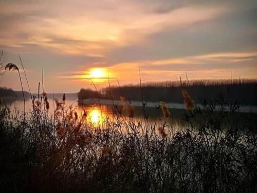 a sunset over a body of water with tall grass at Homecoming apartment in Guastalla