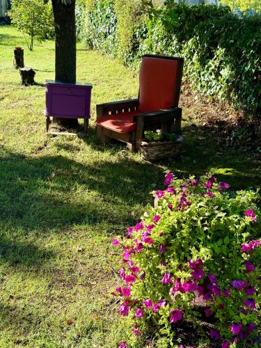 a chair sitting next to a tree and flowers at Il Murôn Guest House in Carentino