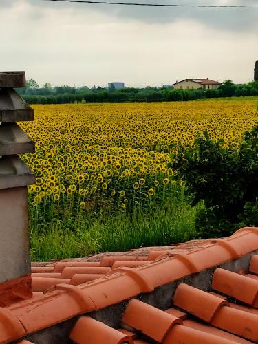 Fotografie z fotogalerie ubytování Sunflowers Dimora v destinaci Santo Stefano a Macerata
