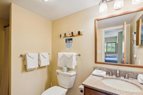 Un baño con inodoro, lavabo y espejo. en Pinnacle E09, en Killington Village