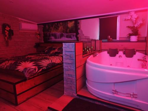a bathroom with a tub and a bedroom with a bed at Casa Lova Spa Privé, Clim,Baignoire balnéo in Entraigues-sur-la-Sorgue