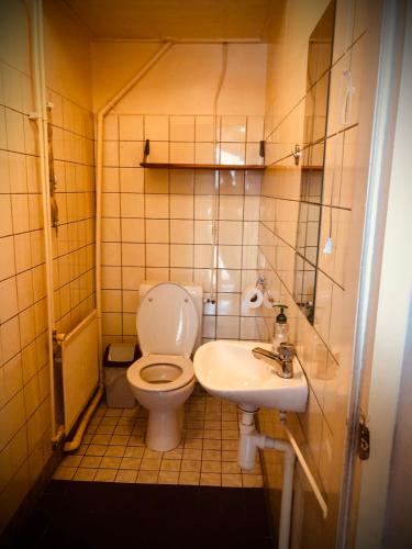 a small bathroom with a toilet and a sink at Huisje San Francisco op Terschelling in West-Terschelling