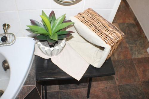 a potted plant on a table next to a bath tub at Ukarimu Guest House in Klerksdorp