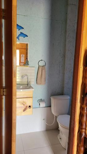 a bathroom with a toilet and a sink and a mirror at Piratas Cabanas Camping Bar in Parati-Mirim