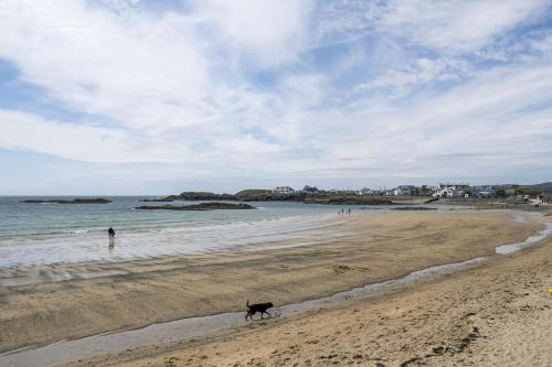 a dog walking on a beach with a person in the water at The Old Dairy in Holyhead