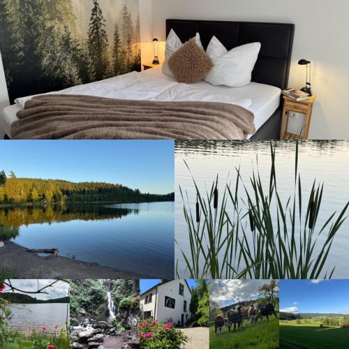 Příroda nedaleko apartmánu