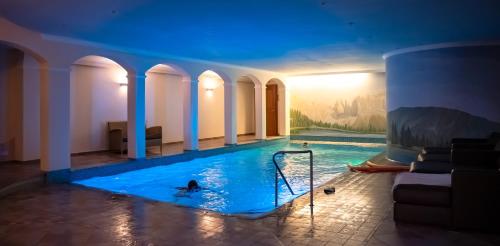 a person swimming in a swimming pool in a building at Sonnleiten Sonnenadler 1 in Collepietra