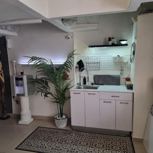 a kitchen with a sink and a potted plant at Beach Inn TLV Center in Tel Aviv