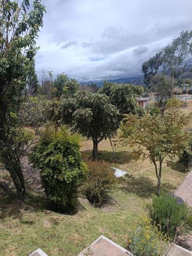 a group of trees and bushes in a field at Beautiful country house in Latacunga in Pujilí