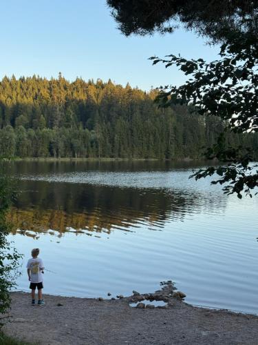 Příroda nedaleko apartmánu