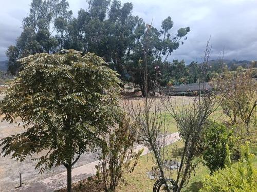 a tree in the middle of a field at Beautiful country house in Latacunga in Pujilí